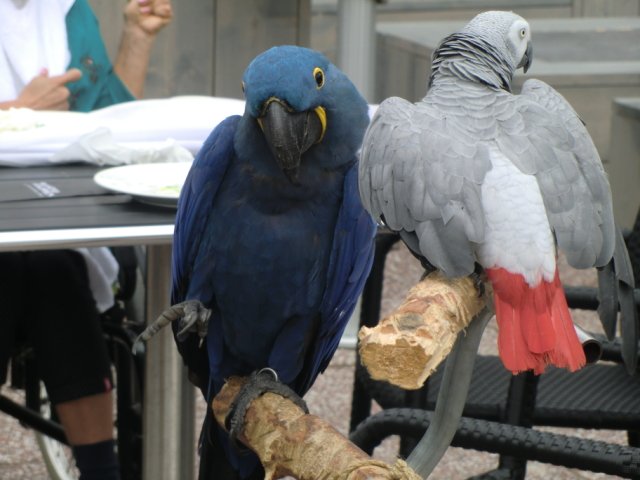 2011-09-04 Wantijpark